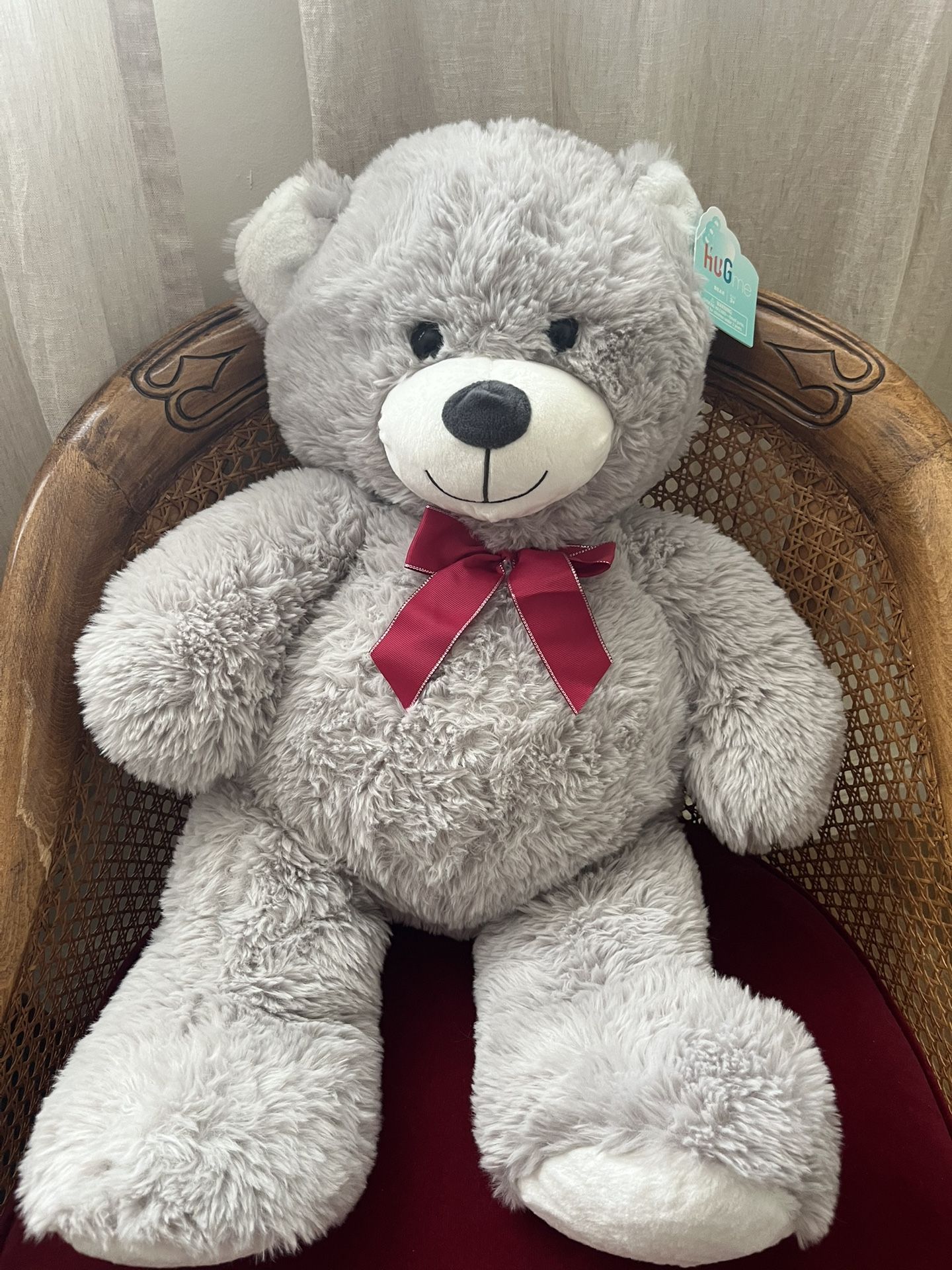Hug Me Teddy Bear