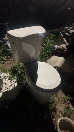 Large toilet