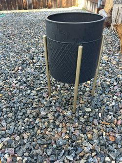 Plant Pot