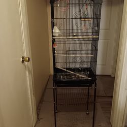 Bird Cage With Accessories!