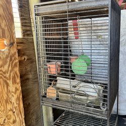 Bird Cage /  Jaula 