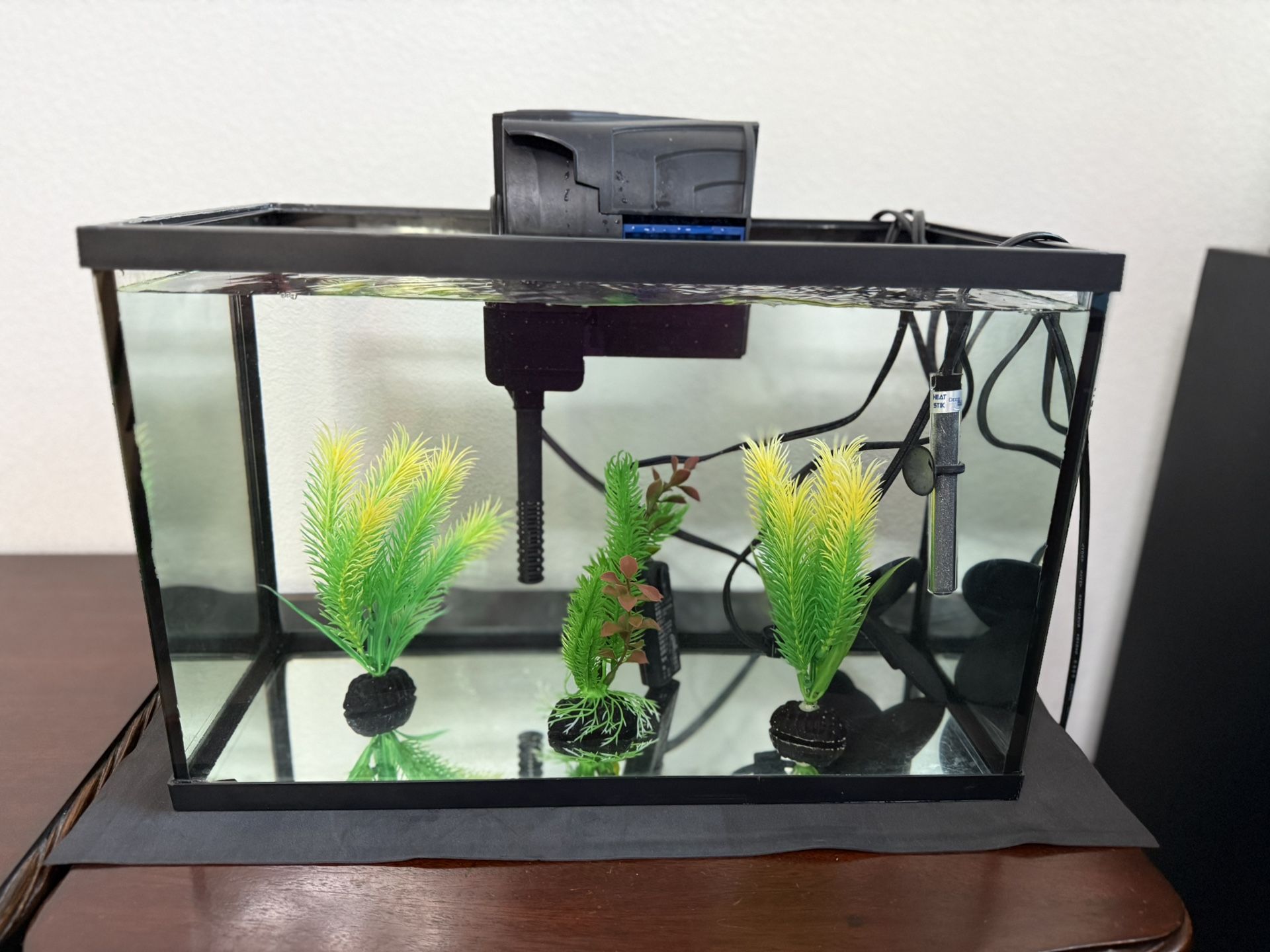 5 Gallon Aquarium Fish Tank