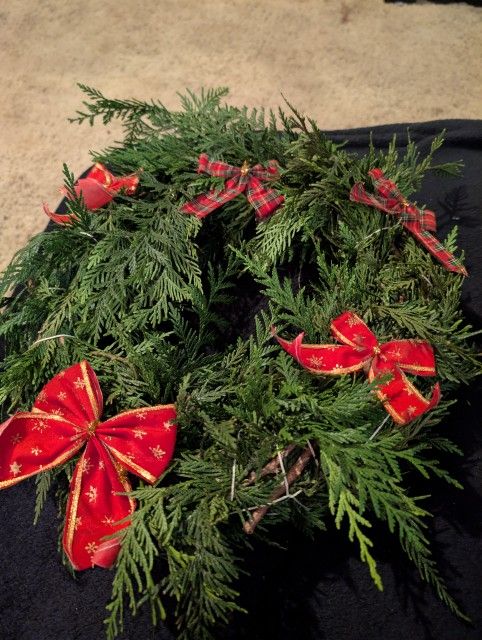 Christmas Ceder Ortiments