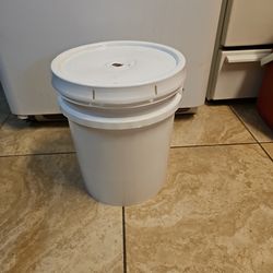 NEED PAINT SMOKING DEAL LOTS OF PAINT CHEAP 5 Gallons Of PAINT For $25 Each