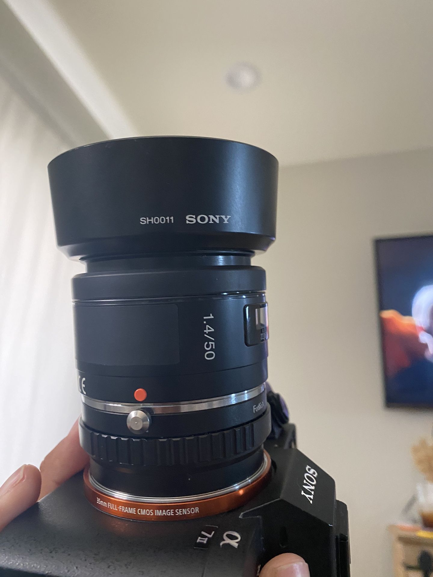 Sony 50mm f1.4