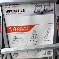 Extendable Ladder