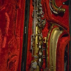 Saxophone Alto 🎷 