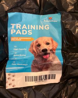 New dog training pad 100pcs