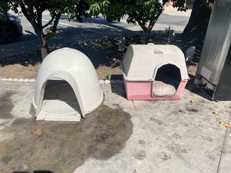Dogs houses for free