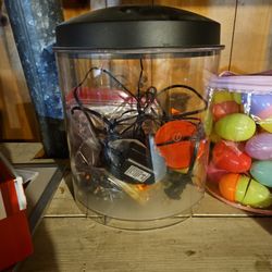 Aquarium With Heater 