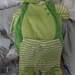 Baby Turtle Costume