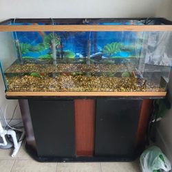 55 Gallon 