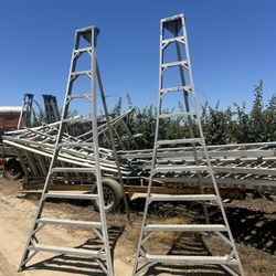 Tree Top Ladders 