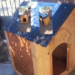 dog house