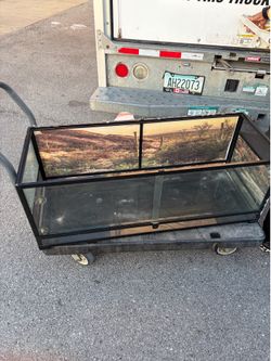 Lizard tank 75 gallons