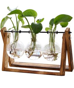 Plant Terrarium with Wooden Stand