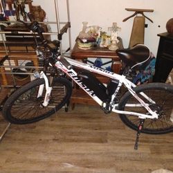 Edison Electric Ebike
