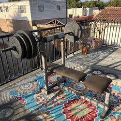 Weight Bench And Dumbbells 