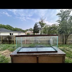 75 Gallon Aquarium 