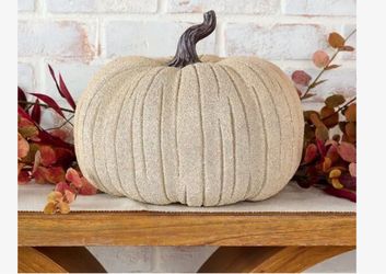 Home reflection indoor outdoor white pumpkin 10”