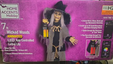 Home Accents Holiday 7ft Animated Lethal Lily Witch