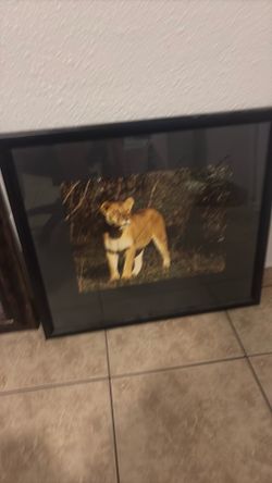 Wall Decorations