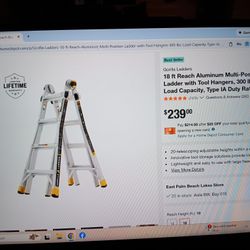 18 Foot Gorilla Ladder 