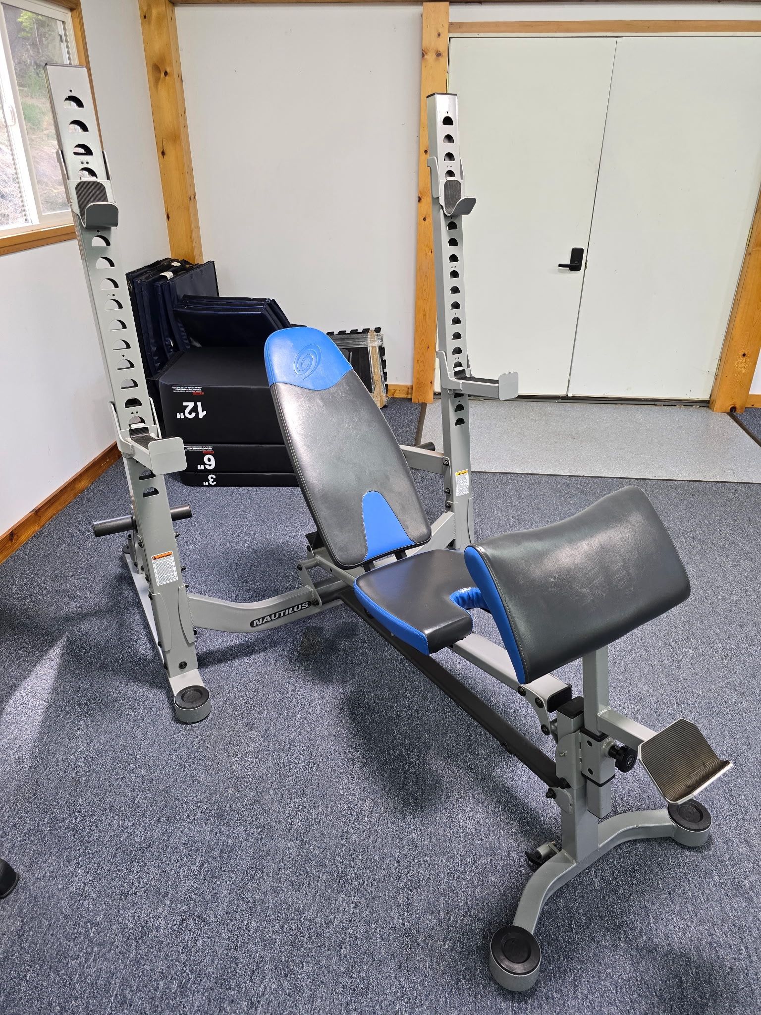 Bench Press Preacher Curl Leg Curl