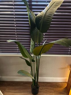 Fake house plant for home or office