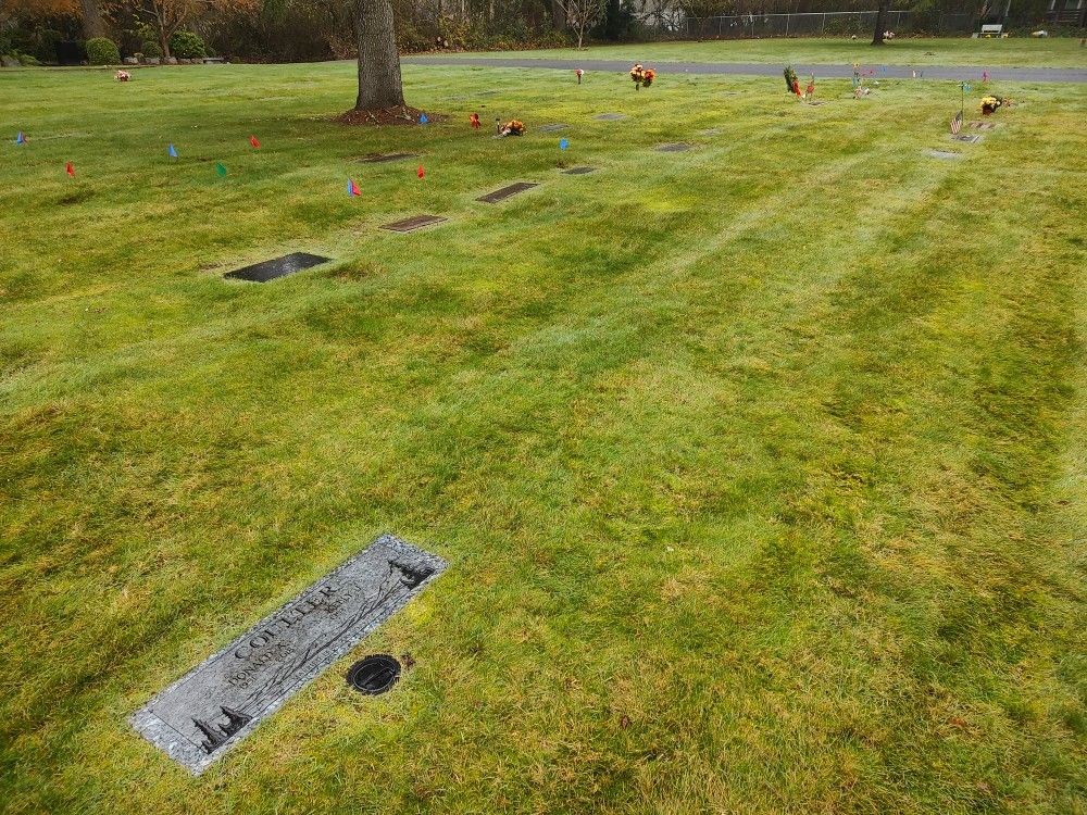 Burial Plot