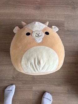 squishmellow