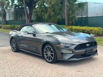 2019 Ford Mustang