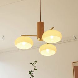 NEW - Radilum Elliptical Persimmon Chandalier Light