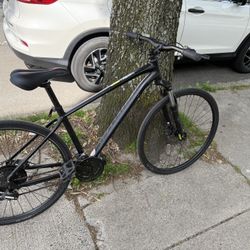 Specialized  Pitch Bike