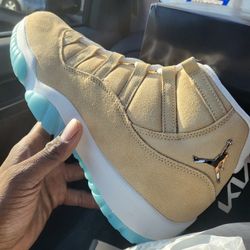 Jordan 11 Htown