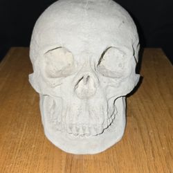 CONCRETE SKULL ($40)