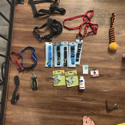 Pet Accessories