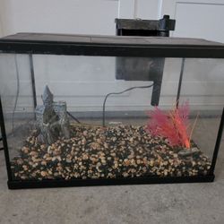5 Gallon Fish Tank
