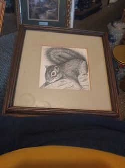 "SQUIRREL" PRINT in Pencil By G. Mayo