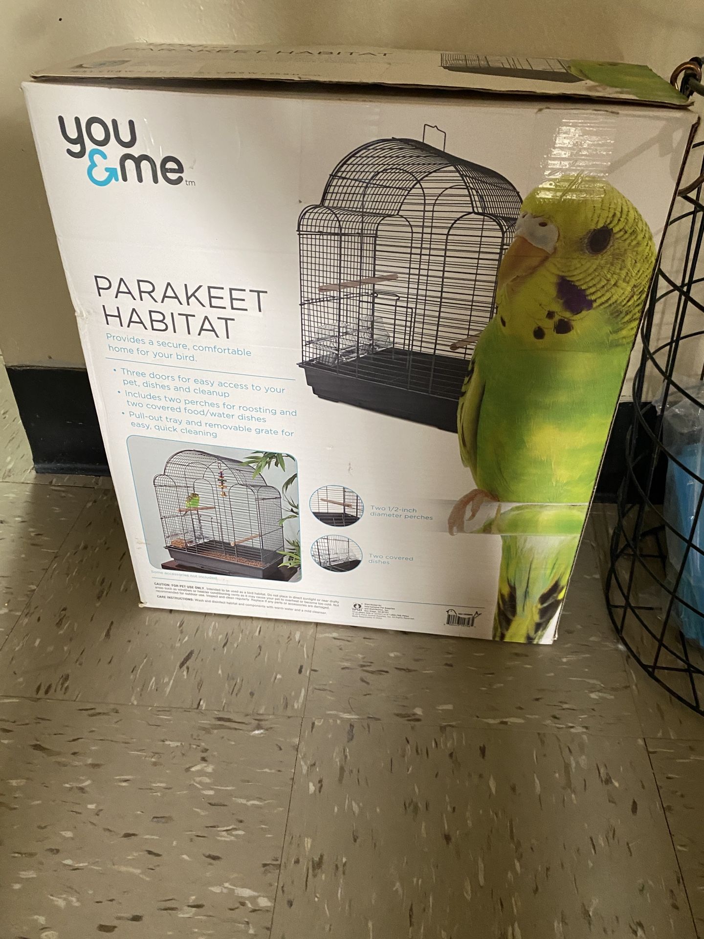 Bird Cage In The Box