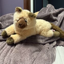 Douglas siamese cat stuffed animal 