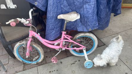 Kids bike $10