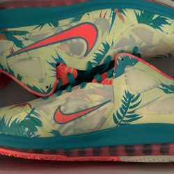Lebron 9 lows