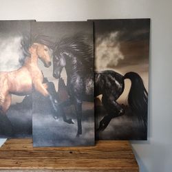 Large Horse Canvas