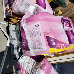 Lots Of Sanitary Pads 12 Each