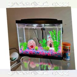 Complete Aquarium System - Jump into Water World Beauty sure good