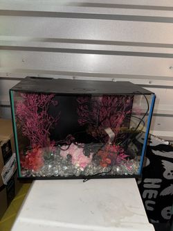 Glow In The Dark Fish Tank
