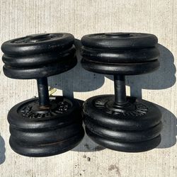 60lb Dumbbells 
