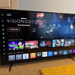 Vizio 65” 4K UHD TV