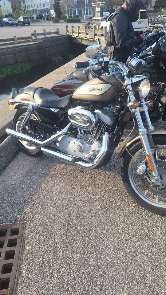 2005 Harley 1200 roadster